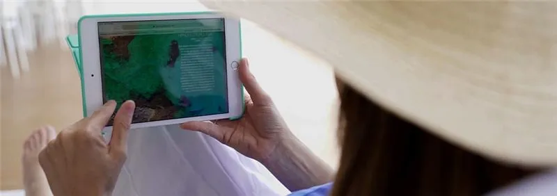 Passenger using onboard Wi-Fi on the Balearia Caribbean ferry from Florida to Bimini
