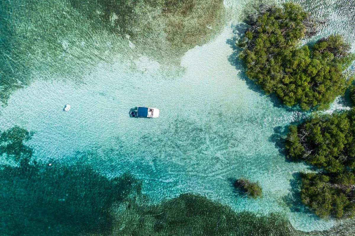 La Parguera bioluminescent bay Puerto Rico