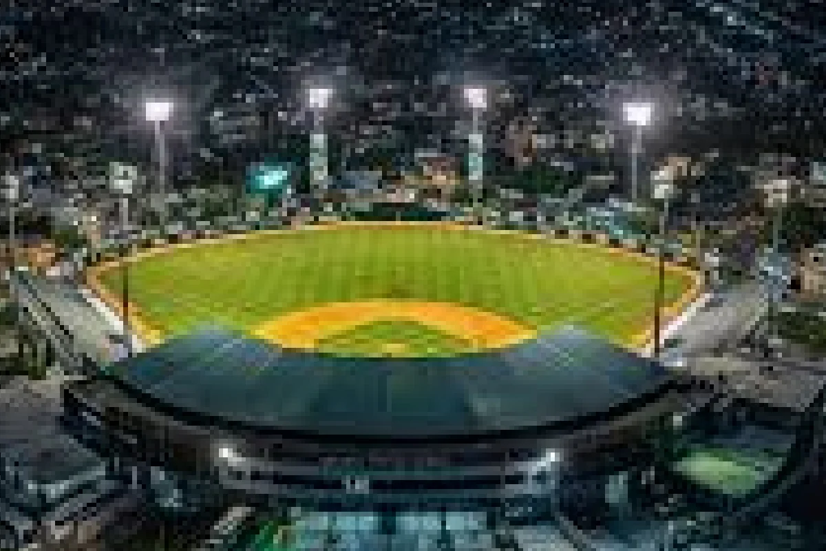 Estadio Tetelo Vargas San Pedro de Macor&iacute;s baseball