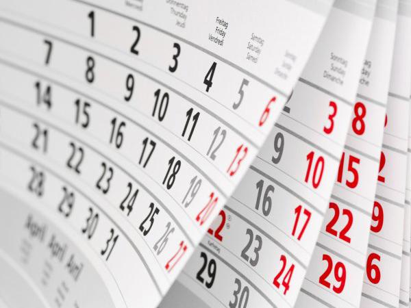The 2027 Bimini and Freeport ferry calendar is now open