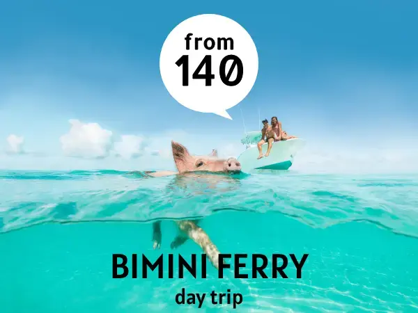 Bimini ferry day trip from $140