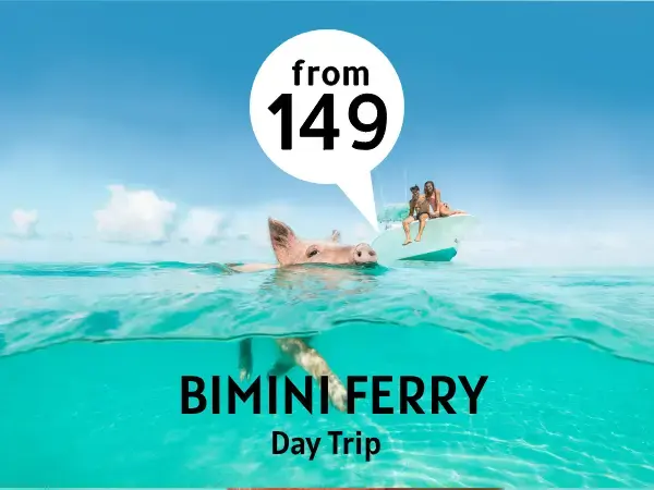 Bimini ferry day trip from $149