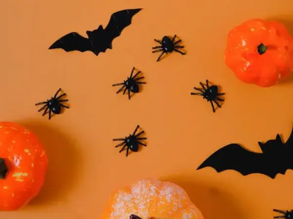 🎃 Halloween: 15% off your Bahamas ferry